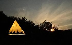 Căsuța in copac Langaland